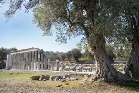 Teos Antik Kenti'nde 2 bin 200 yıllık sırlar ortaya çıkıyor