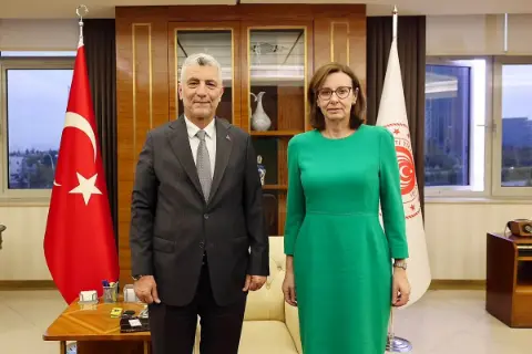 Bakan Bolat, Birleşik Krallık Büyükelçisi Anderson ile STA kapsamını görüştü