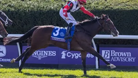 Libertango Keeneland’de Kazandı: 6 Startta 4’üncü Galibiyet