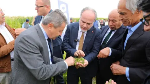 NÖHÜ Silajlık Soya Denemesinde Dekara 2 Bin 485 Kilogram Verim