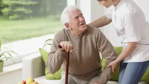 Parkinsonlu farelerde deneysel tedavi hareket yeteneğini artırdı