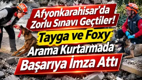 Afyon’daki sınavda Tayga görev, Foxy ise eğitim yeterliliği aldı