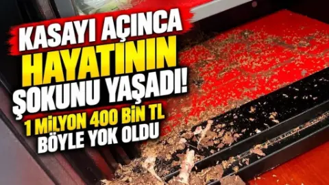 Tayland’da Kasada Saklanan 1 Milyon Bahtı Termitler Kemirdi