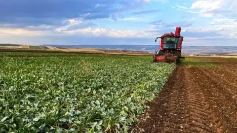 Pancar üreticisi için 952 milyon TL avans ödemesi hesaplara geçti