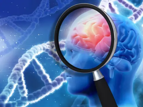 Alzheimer’a karşı bilişsel dirençte ‘Pla2g2f’ geninin rolü belirlendi