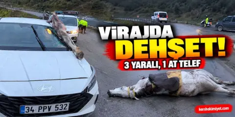 İstanbul’da korkunç kaza: Atın kopan bacağı otomobile saplandı