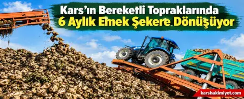 Kars’ın Bereketli Topraklarında 6 Aylık Emek Şekere Dönüşüyor