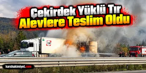 Tır Alevlere Teslim Oldu