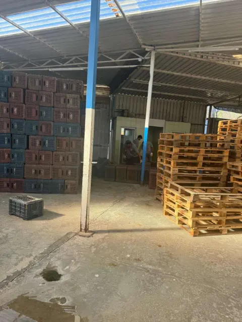 Ortaca’da 300 Kişinin Çalıştığı Tesiste Söküm Başladı: AK Partili Çiftçi ile Başkan Tezcan Arasında Ruhsat Krizi
