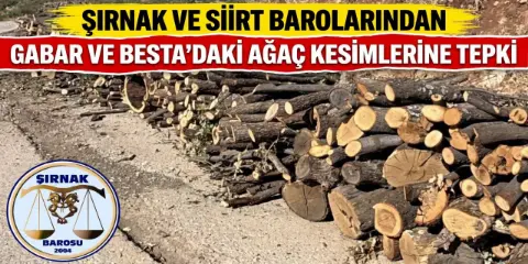 Şırnak Ve Siirt Barolarından Gabar Ve Besta’daki Ağaç Kesimlerine Tepki