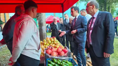 Gazipaşa’nın meyve zenginliği festivale taşındı