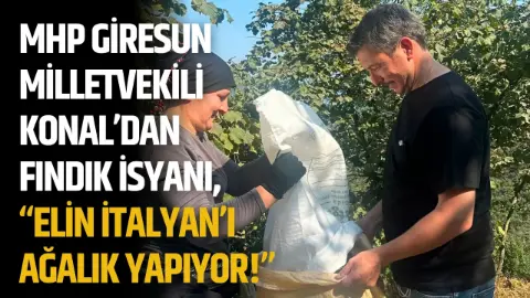 MHP Giresun Milletvekili Konal’dan fındık isyanı, “Elin İtalyan’ı ağalık yapıyor!”