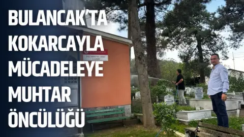 Bulancak’ta kokarcayla mücadeleye muhtar öncülüğü