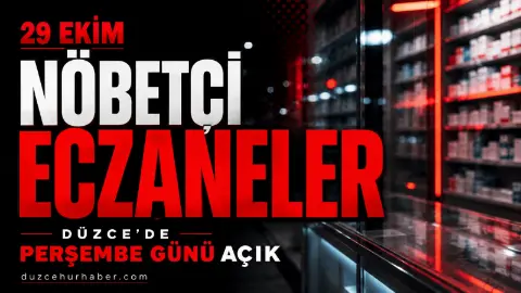 Düzce'de 29 Ekim elektrik kesintisi: Bayram günü 2 ilçede elektrik kesilecek