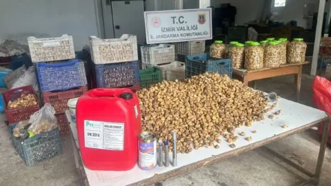 İzmir Ödemiş'te lavabo açıcıyla beyazlatıldığı değerlendirilen 3 ton incir ele geçirildi