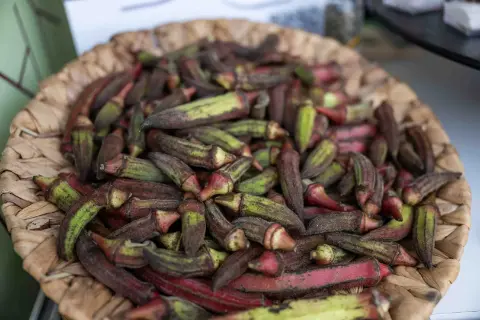 İzmir GastroFest'te Bornova rüzgarı: Kınalı Bamya'ya yoğun ilgi