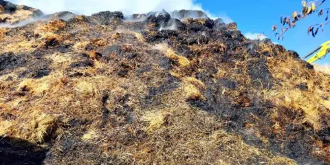 Isparta’da çıkan yangında bin 150 balya kül oldu