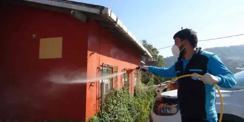 Trabzon’da Kahverengi Kokarcayla Mücadele Sürüyor: Son 3 Yılda 200 Bin Samuray Arısı Doğaya Salındı