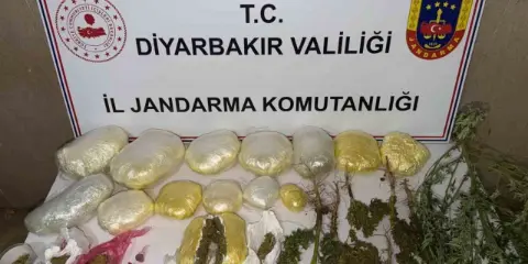 Diyarbakır’da 59 bin kök kenevir ile 109 kilo uyuşturucu ele geçirildi