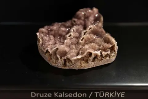 Dünyanın geçmişi Konya’da sergiye çıktı! Çoban kandıran da var