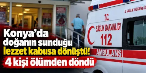 Doğadan sofralara uzanan ölümcül tehlike Konya’da 4 kişiyi hastanelik etti