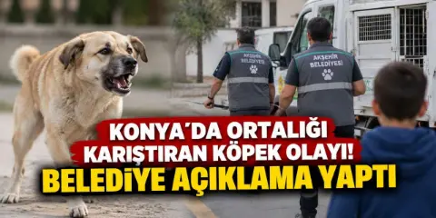 Konya’da köpek saldıran çocukları kurtarmaya giden ekiplere saldırı iddiası