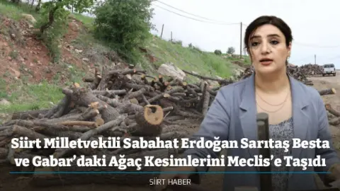 Siirt Milletvekili Sabahat Erdoğan Sarıtaş Besta ve Gabar’daki Ağaç Kesimlerini Meclis’e Taşıdı