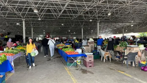 Fethiye Çalıca Pazarı’nda haftanın meyve ve sebze fiyatları