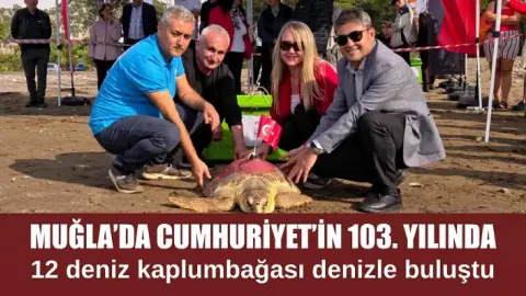 Muğla'da Cumhuriyet'in 103. yılında 12 deniz kaplumbağası denizle buluştu
