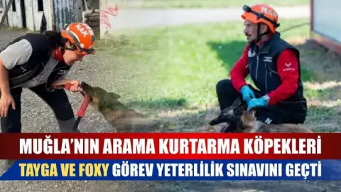 Muğla’nın arama kurtarma köpekleri Tayga ve Foxy görev yeterlilik sınavını geçti