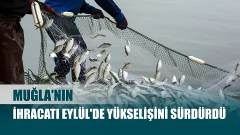 Muğla'nın Dış Ticaretinde Eylül Bereketi: İhracat Hız Kesmedi