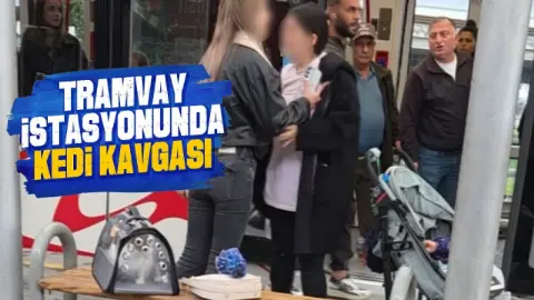 Samsun'da Tramvay Durağında Kedi Gerginliği: Arbede Çıktı