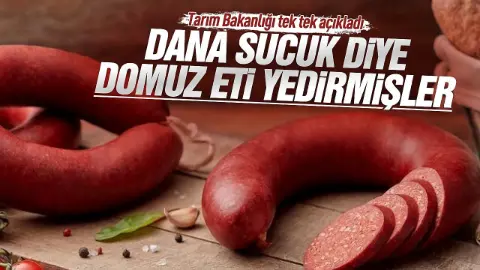 Dana sucukta domuz eti çıktı! Bakanlık tek tek ifşa etti: İşte hilede başı çeken iller