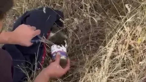 Kayseri’de kedinin yardımına itfaiye koştu! Konserve kutusundan kurtardılar