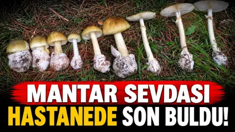 Mantar Sevdası Hastanede Son Buldu!