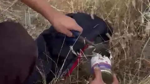 Kafası konserve kutusuna sıkışan kediye itfaiyeden yardım eli