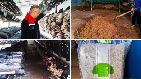Malatya’da mantar üretim tesisleri denetlendi