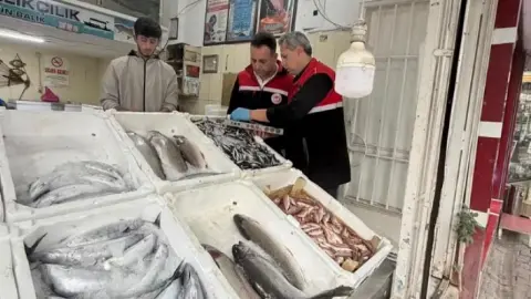 Vatandaşın sofrasına giden balıklar denetlendi