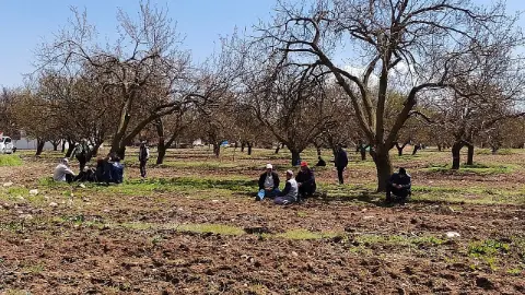 Malatya için merak edilen rapor yayımlandı