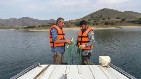 Elazığ'da balık örnekleme çalışmaları