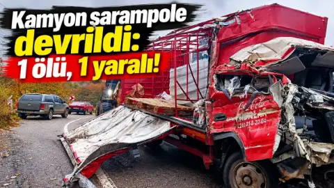 Kırklareli Demirköy'de kamyon şarampole devrildi: 1 ölü, 1 yaralı
