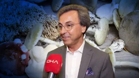 Sonbahar aylarında artış gösteriyor: Doğadan toplayanlar dikkat!'Görünüşüne bakarak ayırt edemezsiniz