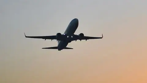 Uçağa kuş çarptı