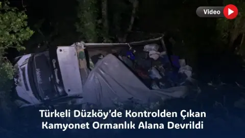 Türkeli Düzköy’de Kontrolden Çıkan Kamyonet Ormanlık Alana Devrildi