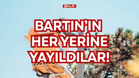 Bartın’ın Her Yerine Yayıldılar!