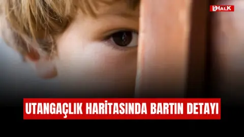 Türkiye'nin Utangaçlık Haritası: Batı Karadeniz'de Oran Yüzde 31