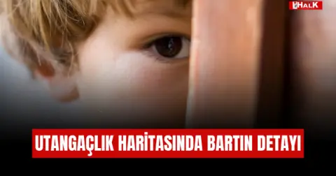 Türkiye'nin Utangaçlık Haritası: Batı Karadeniz'de Oran Yüzde 31