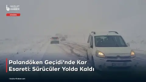 Palandöken Geçidi'nde Kar Esareti: Sürücüler Yolda Kaldı