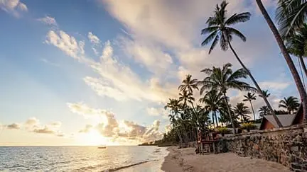 Neden gidelim ki: Fiji adalıları taşınmamak için iklim direnci geliştiriyor