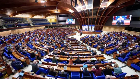 Avrupa Konseyi'nden Sinem Dedetaş açıklaması: Göreve iade edilmesini umuyoruz